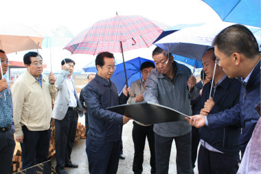 陸治原市長冒雨視察 市政工程進(jìn)展順利