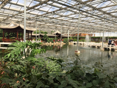 涇河新城項目相關領導赴各地考察調(diào)研設施農(nóng)業(yè)項目