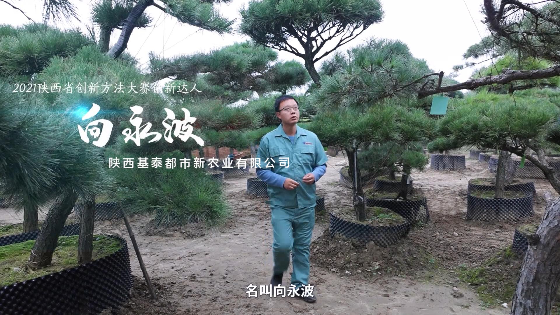 創(chuàng)新達(dá)人！