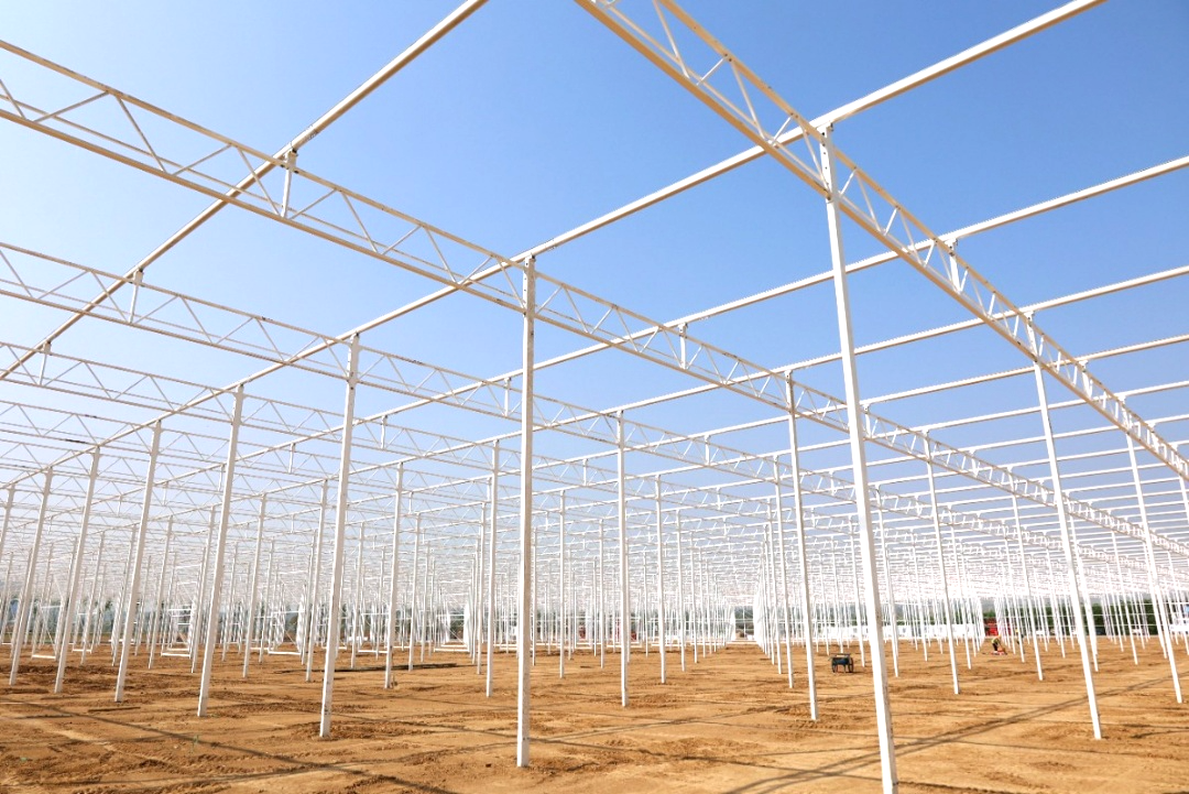玫瑰溫室主體骨架完工！