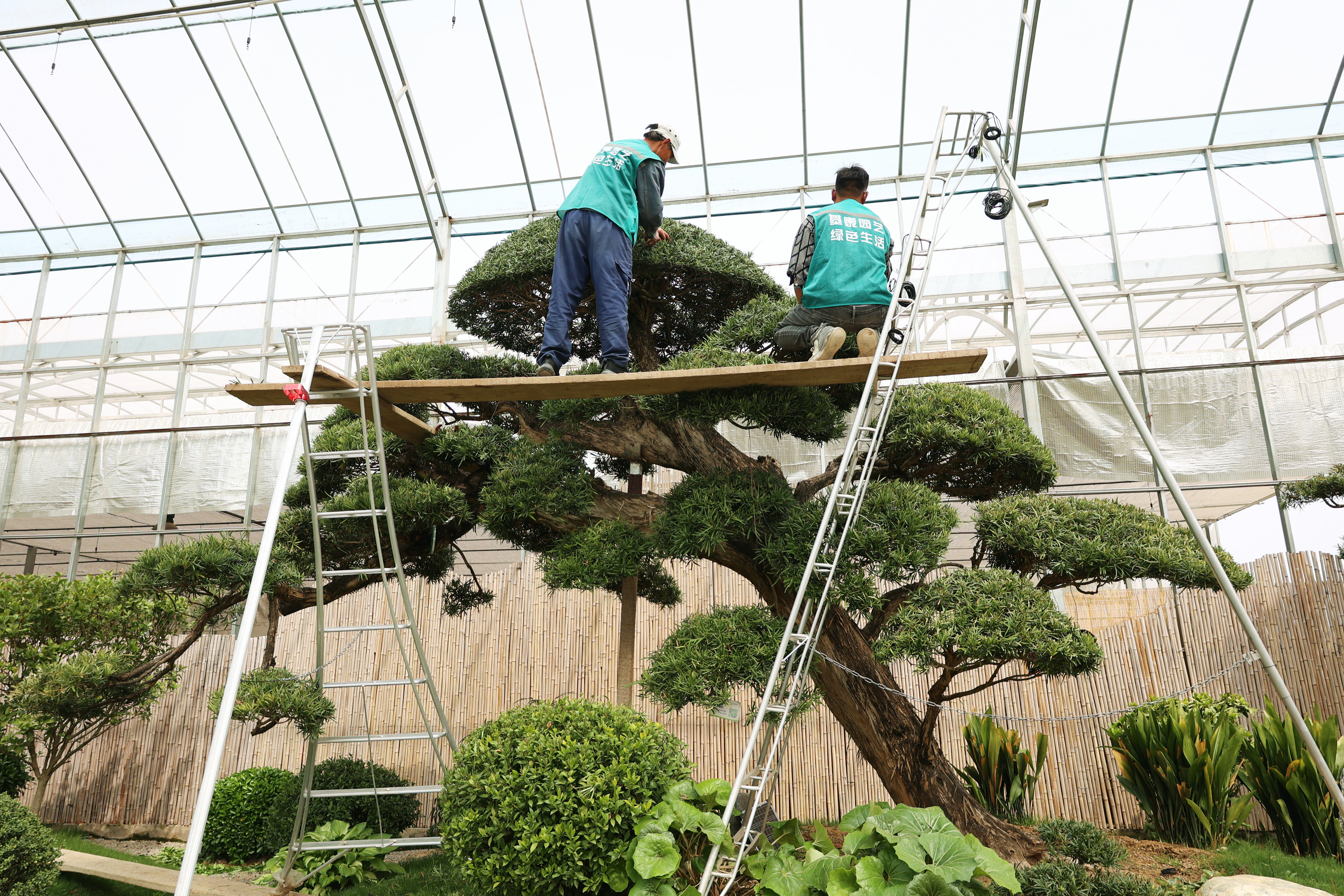 不負春光 奮力書寫“春天的故事”